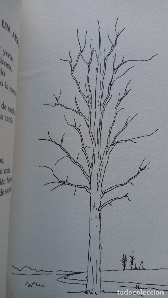 Libros de segunda mano: Andaraje E. Moya - Foto 2