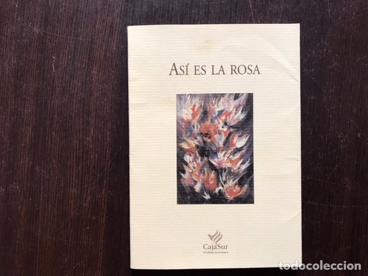Libros de segunda mano: As&iacute; es la rosa - Foto 1