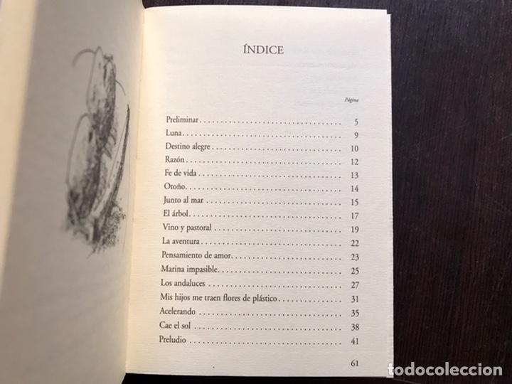 Libros de segunda mano: Solo de hierro. Jos&eacute; Hierro - Foto 2
