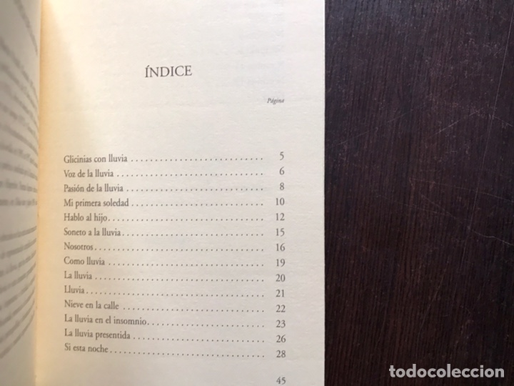 Libros de segunda mano: Como lluvia. Elena Mart&iacute;n Vivaldi - Foto 2