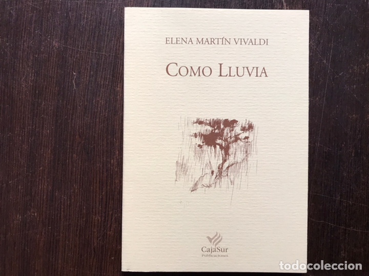 Libros de segunda mano: Como lluvia. Elena Mart&iacute;n Vivaldi - Foto 1