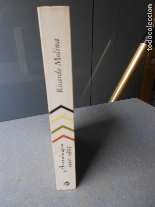 Libros de segunda mano: RICARDO MOLINA. ANTOLOGIA - Foto 5