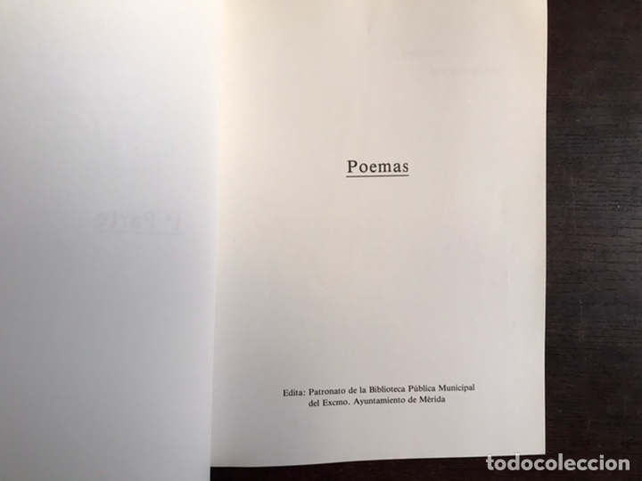 Libros de segunda mano: Abanico. Jes&uacute;s Delgado Valhondo. Dif&iacute;cil - Foto 3