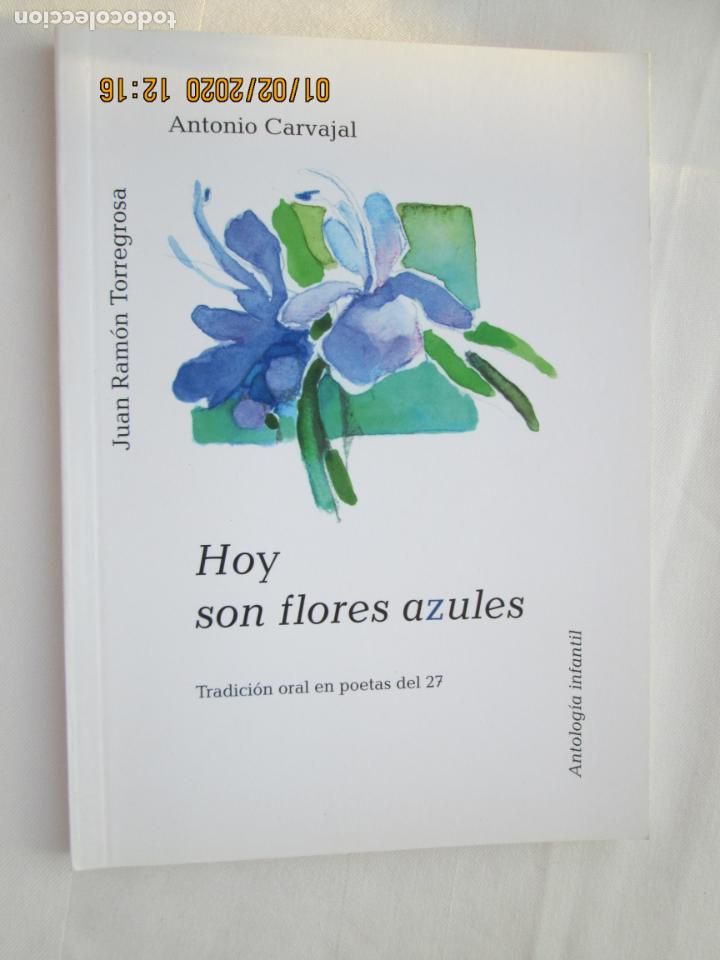 Gebrauchte B&uuml;cher: HOY SON FLORES AZULES - ANTONIO CARVAJAL/J. R. TORREGROSA - 2007.