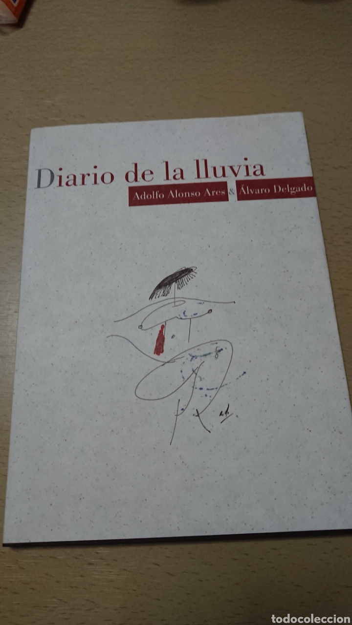 Libros de segunda mano: DIARIO DE LA LLUVIA
