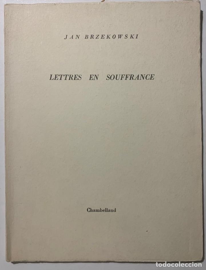 Libros de segunda mano: Jan Brzekowski. Lettres en Souffrance