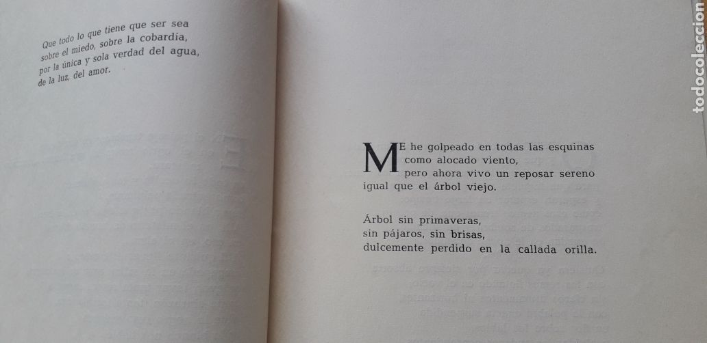 Libros de segunda mano: LOS OBST&Aacute;CULOS, CONCHA LAGOS, - Foto 5