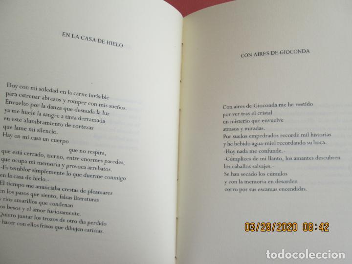 Libros de segunda mano: JACARANDA - JES&Uacute;S SOLANO - M&Aacute;LAGA 1996. - Foto 3