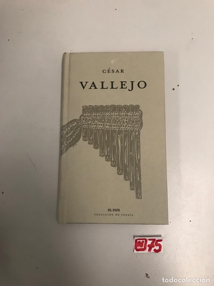 Libros de segunda mano: C&eacute;sar Vallejo - Foto 1