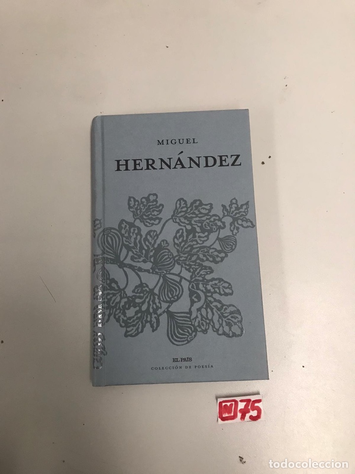 Libros de segunda mano: Miguel Hernandez - Foto 1
