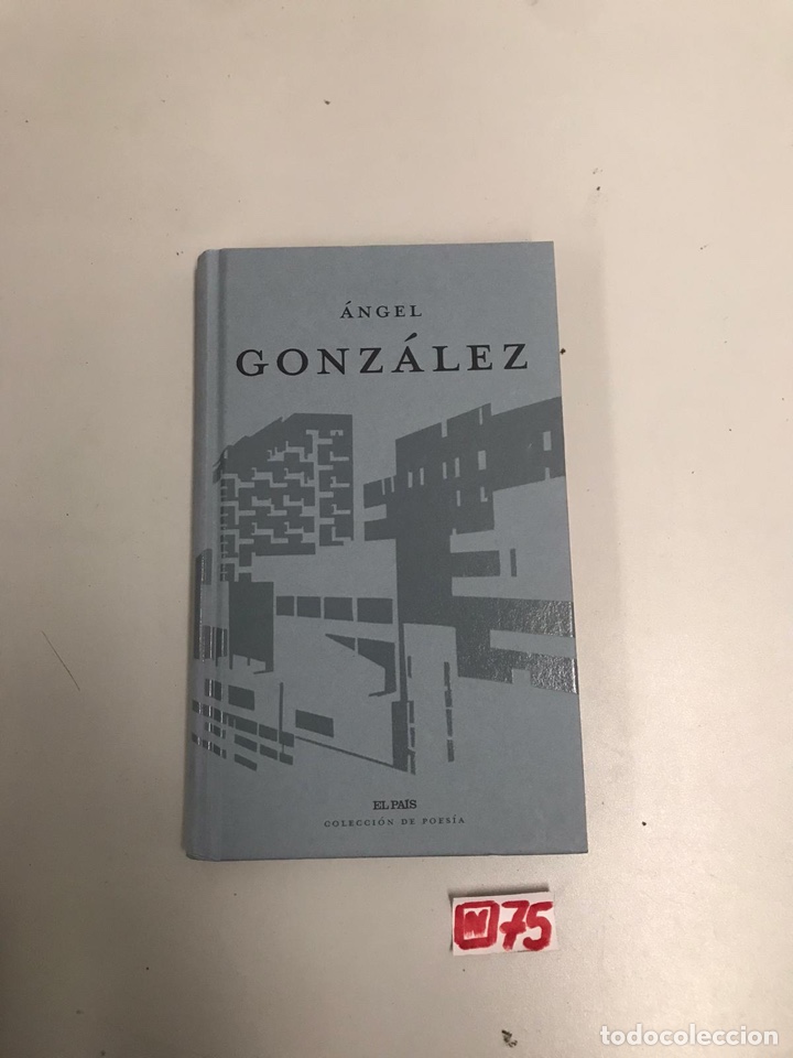 Libros de segunda mano: &Aacute;ngel Gonz&aacute;lez - Foto 1