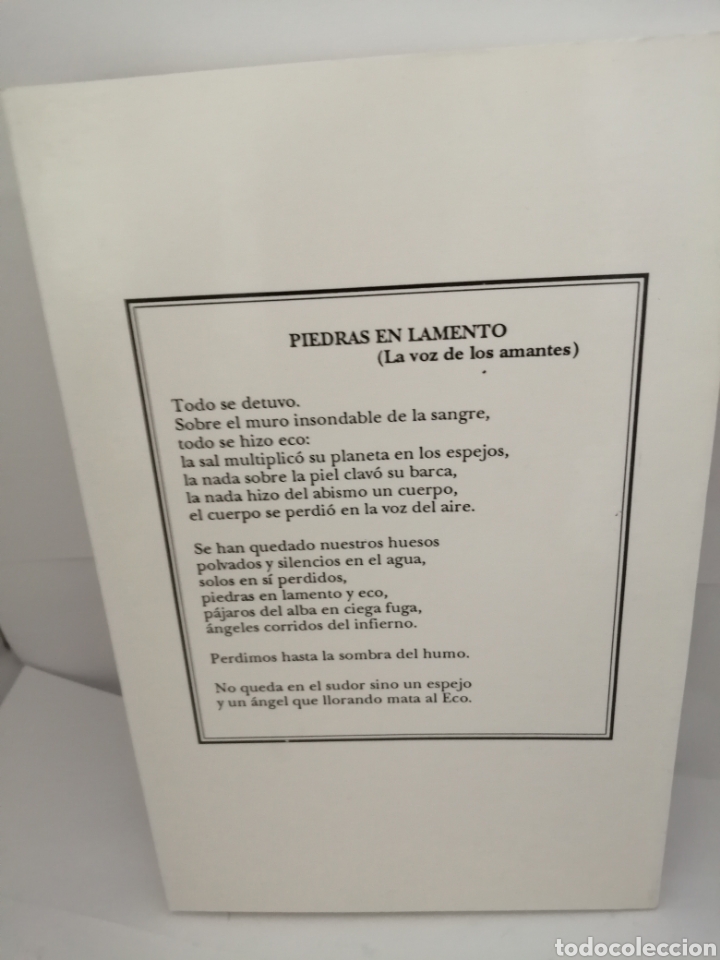 Libros de segunda mano: Piedras en lamento (PRIMERA EDICI&Oacute;N) - Foto 2