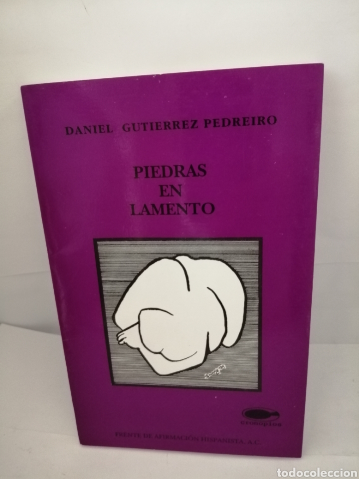 Libros de segunda mano: Piedras en lamento (PRIMERA EDICI&Oacute;N) - Foto 1