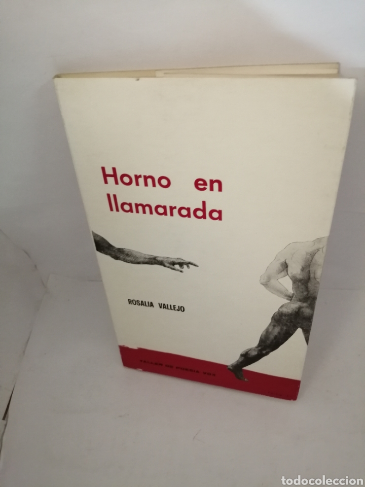 Gebrauchte B&uuml;cher: HORNO EN LLAMARADA DE ROSALIA VALLEJO