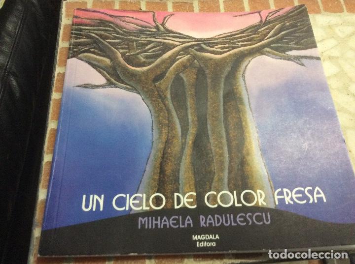 Second hand books: Un cielo de color de fresa mihaela radulescu magdala editora