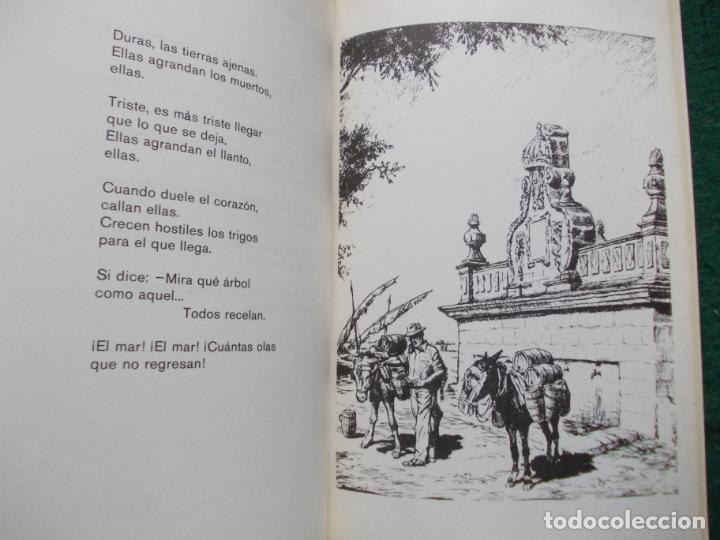 Libros de segunda mano: RAFAEL ALBERTI DEL MAR DE CADIZ - Foto 2