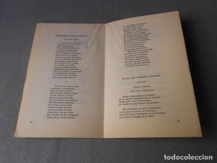 Libros de segunda mano: DESPLEGABLE GARCIA LORCA - Foto 2