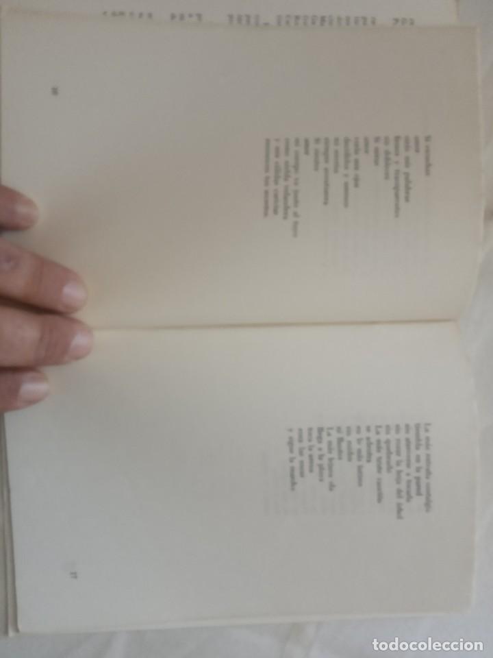 Libros de segunda mano: DE NIEBLA Y ALGAS- MATILDE ALBERT ROBATTO. - Foto 3
