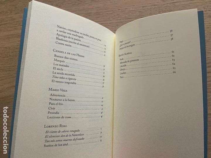 Libros de segunda mano: DIVERSOS - POESIA VALDEDIOS - VVAA - Foto 5