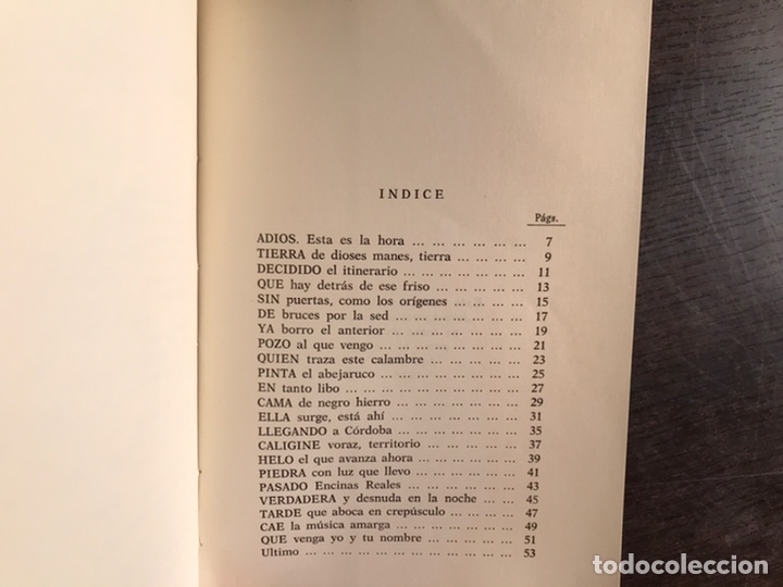Libros de segunda mano: Lucido en ciernes. Antonio Almeda - Foto 3