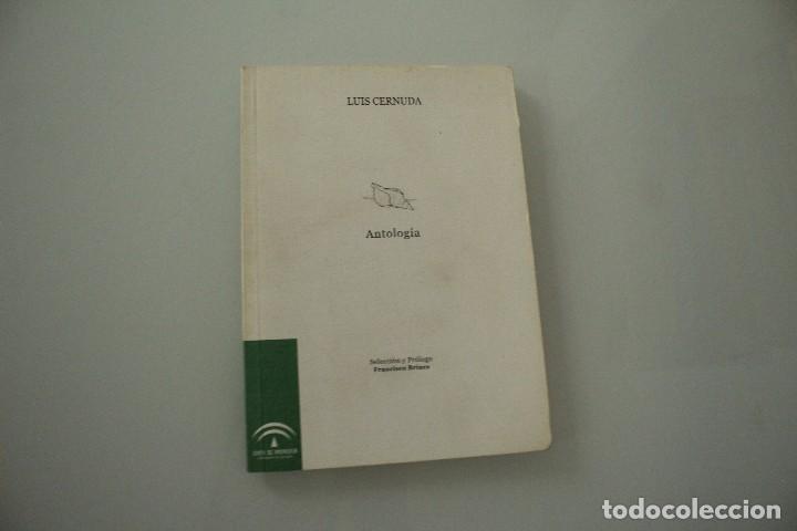 Libros de segunda mano: ANTOLOG&Iacute;A LUIS CERNUDA - Foto 1