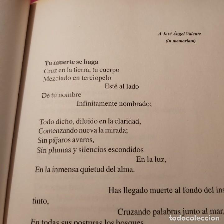 Libros de segunda mano: Ju&aacute;n Seoane. Vac&iacute;o. Ediciones de Baile del sol. 2002 1 edici&oacute;n. - Foto 4