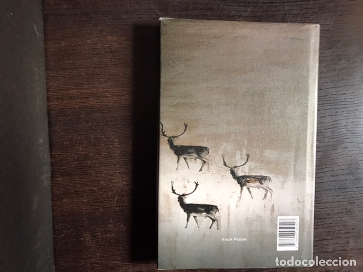 Libros de segunda mano: El reino blanco. Luis Alberto de Cuenca - Foto 2