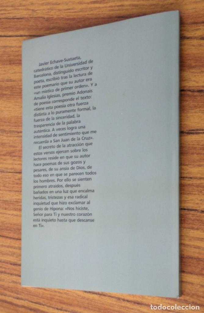 Libros de segunda mano: CONTIGO - Poes&iacute;a - Daniel Gast&oacute;n - Foto 2
