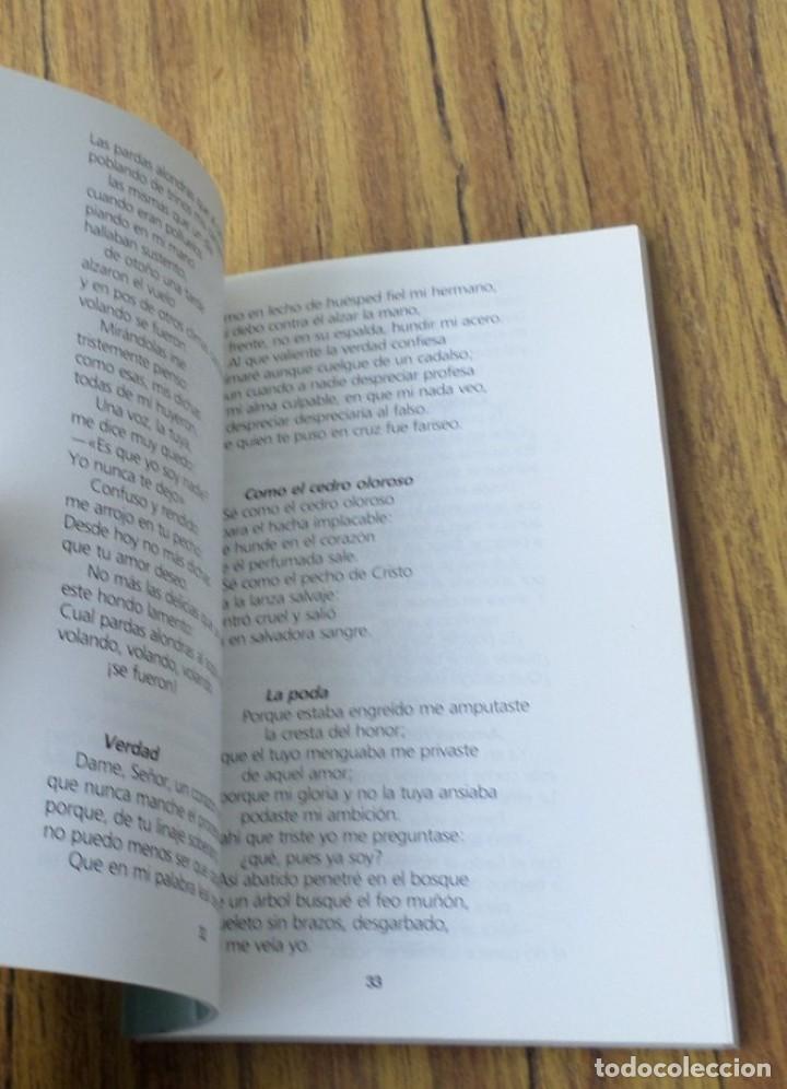 Libros de segunda mano: CONTIGO - Poes&iacute;a - Daniel Gast&oacute;n - Foto 4
