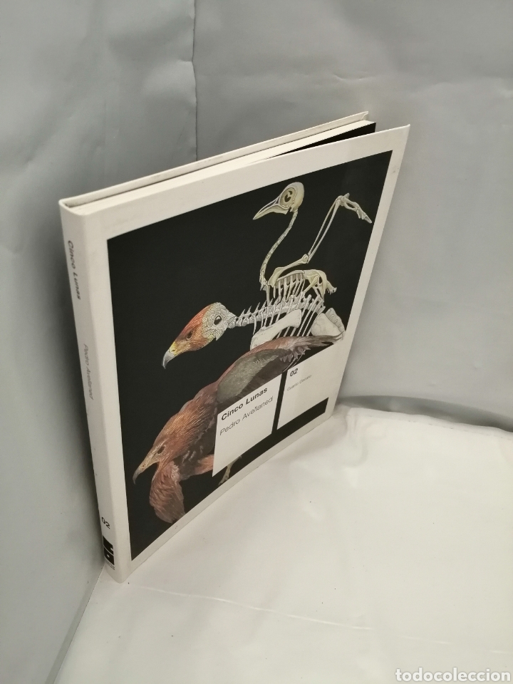 Libros de segunda mano: CINCO LUNAS (PRIMERA EDICI&Oacute;N) - Foto 6