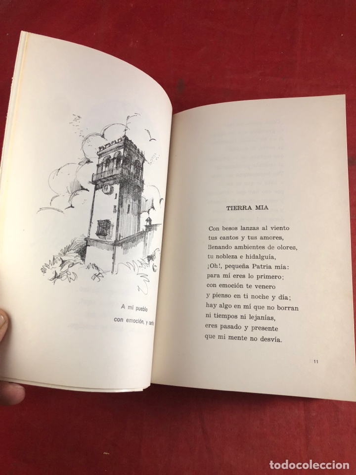 Libros de segunda mano: Hojas sueltas. poes&iacute;a - Foto 3