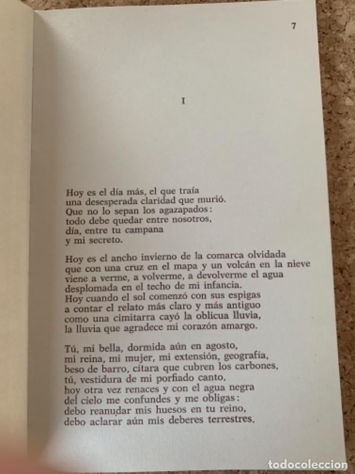 Libros de segunda mano: Pablo Neruda, A&uacute;n (Bols,6) - Foto 4