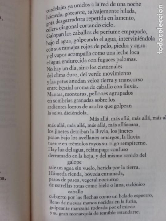Libros de segunda mano: Pablo Neruda.Selecci&oacute;n de Poemas. - Foto 7