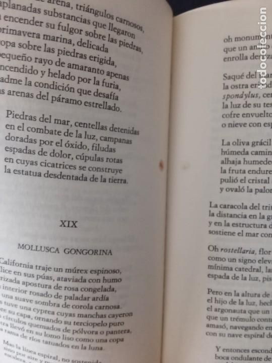 Libros de segunda mano: Pablo Neruda.Selecci&oacute;n de Poemas. - Foto 8