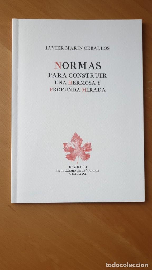 Libri di seconda mano: Normas para construir una hermosa y profunda mirada - Javier Mar&iacute;n Ceballos (plaquette)