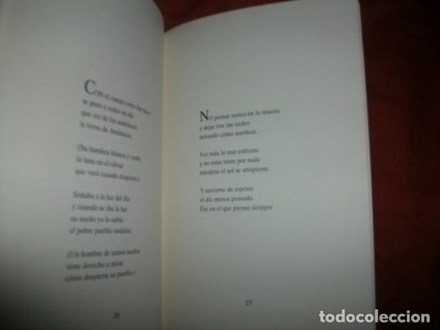 Libros de segunda mano: ESTE VERANO EN M&Aacute;LAGA - MANUEL ALC&Aacute;NTARA - Foto 2