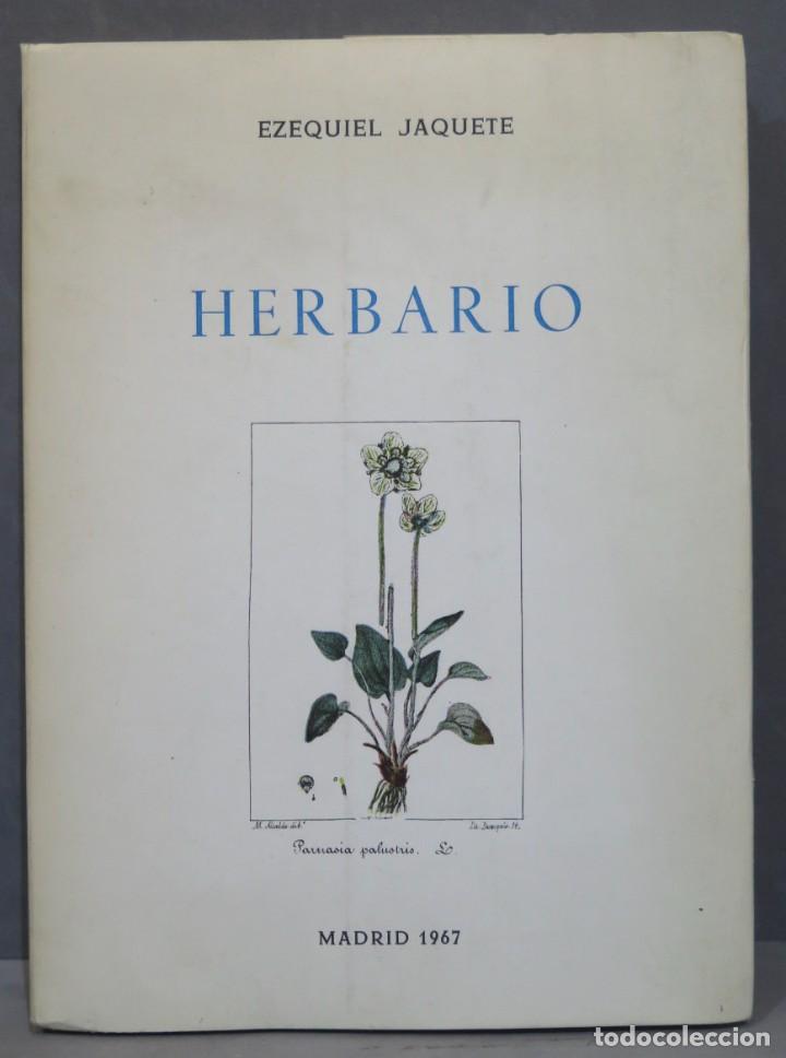 Second hand books: HIERBARIO. JAQUETE