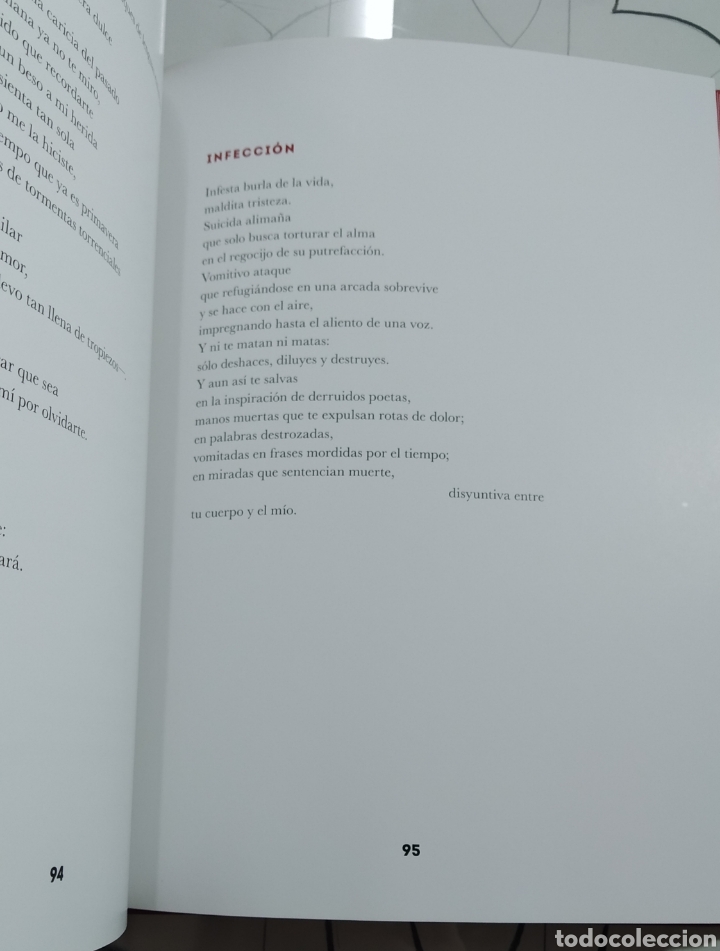Libros de segunda mano: BALUARTE. ELVIRA SASTRE. VALPARAISO EDICIONES - Foto 2