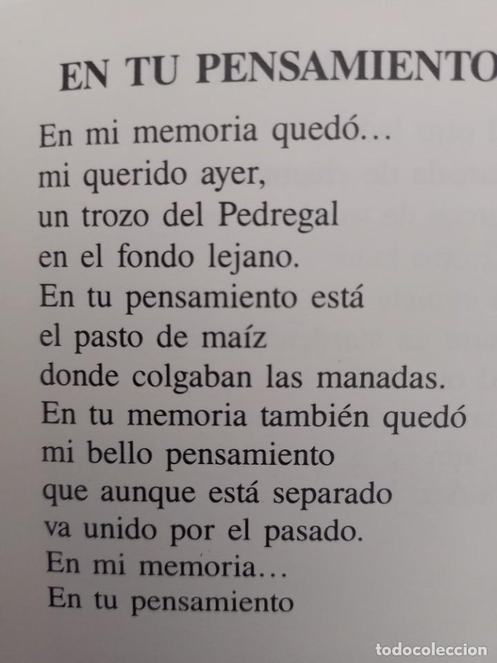 Libros de segunda mano: LIBRO DE POEMAS Y ACUARELAS DEL CANARIO - Foto 17