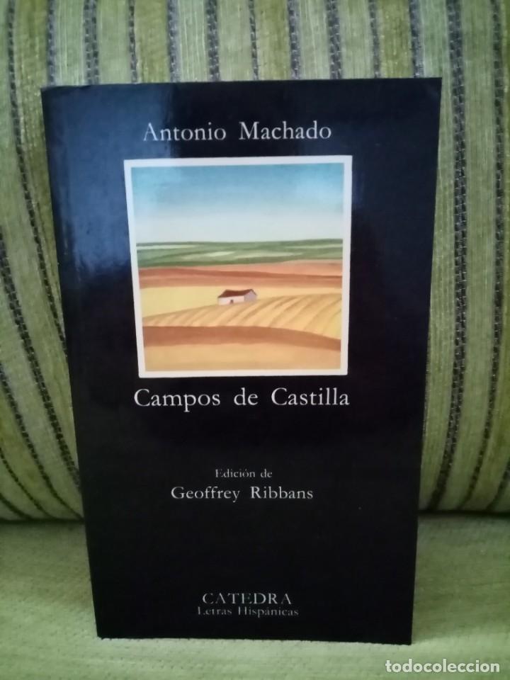 Libros de segunda mano: CAMPOS DE CASTILLA - Foto 1