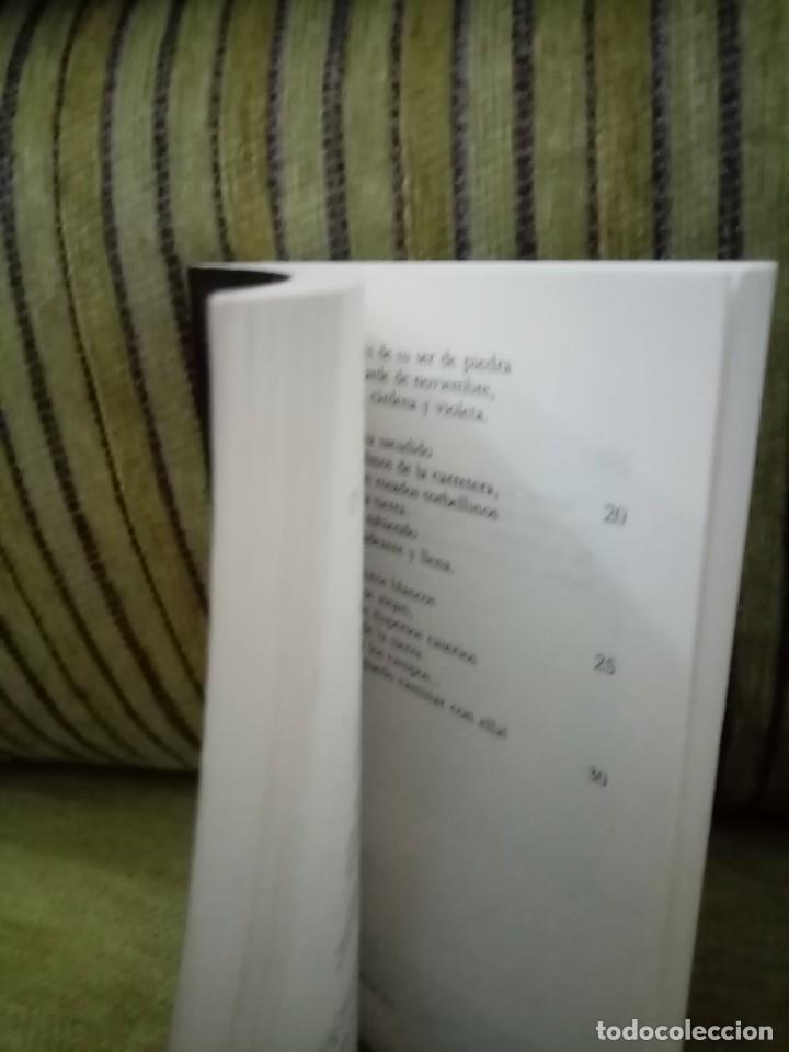 Libros de segunda mano: CAMPOS DE CASTILLA - Foto 8