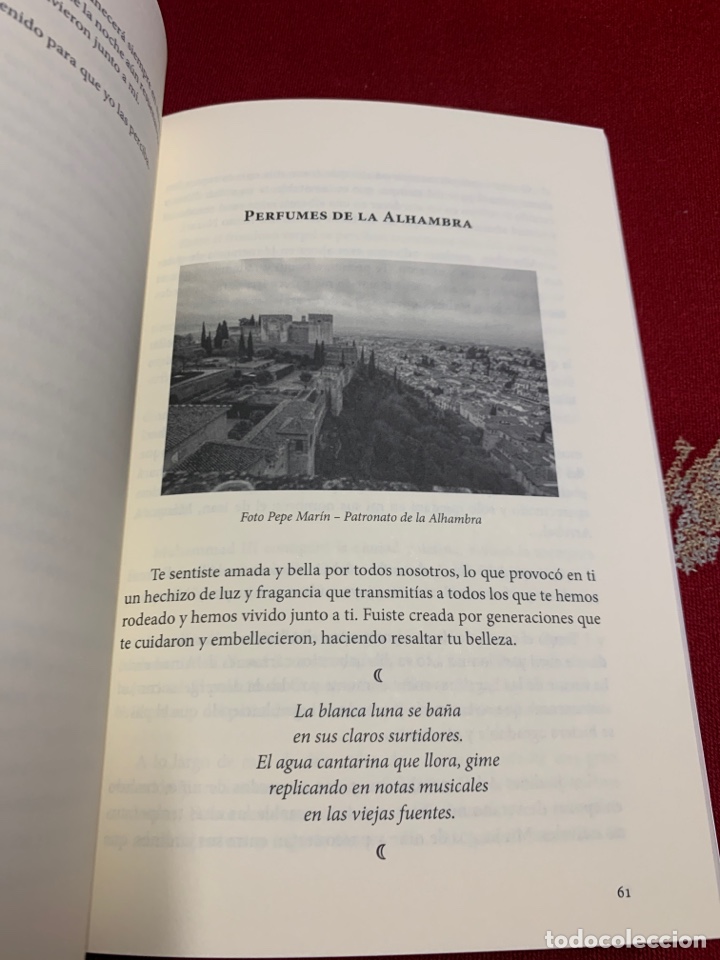 Libros de segunda mano: El &uacute;ltimo nazar&iacute;. Mar&iacute;a Ram&iacute;rez Gonz&aacute;lez. - Foto 8
