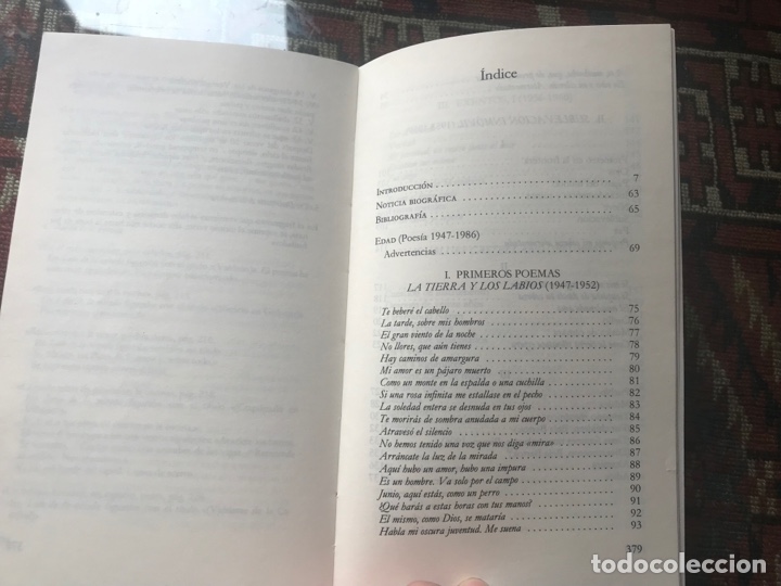 Libros de segunda mano: Edad. Antonio Gamoneda - Foto 6
