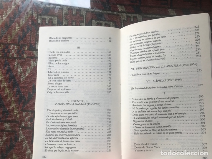 Libros de segunda mano: Edad. Antonio Gamoneda - Foto 8