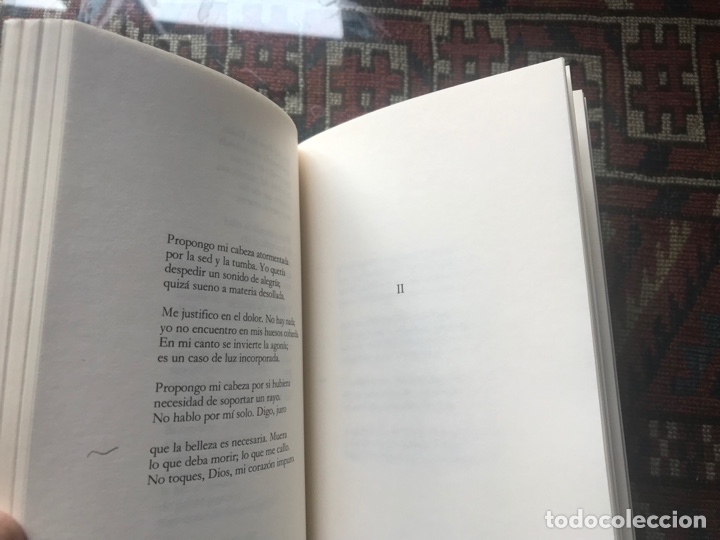 Libros de segunda mano: Edad. Antonio Gamoneda - Foto 10