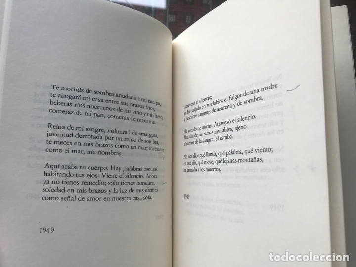 Libros de segunda mano: Edad. Antonio Gamoneda - Foto 11