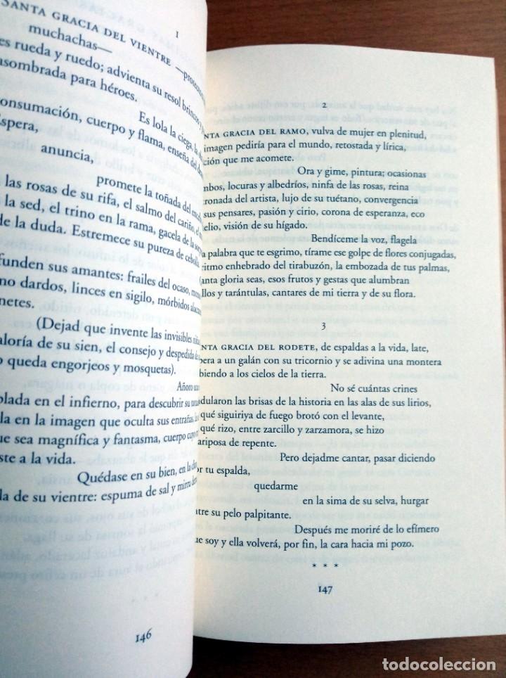 Libros de segunda mano: Libros de poemas, de Manuel R&iacute;os Ruiz - Foto 3