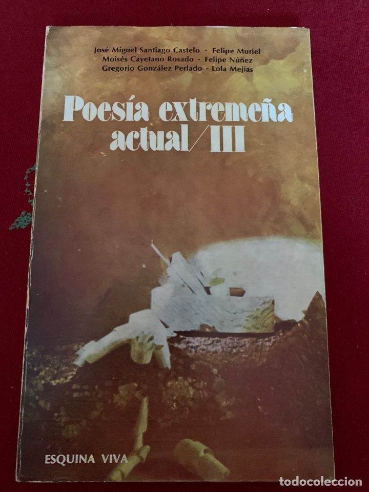 Second hand books: Poes&iacute;a extreme&ntilde;a actual/III. AA.VV.