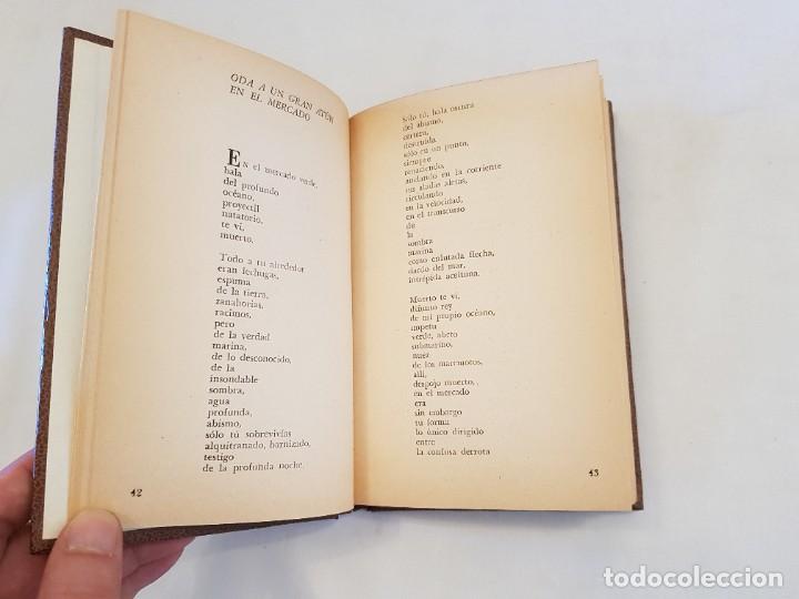Libros de segunda mano: Tercer Libro de las Odas. Pablo Neruda. Losada, 1972 - Foto 4