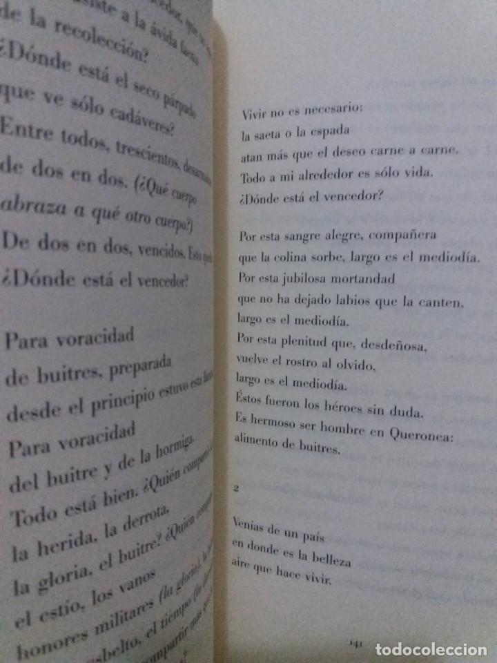 Libros de segunda mano: POEMAS DE AMOR - Foto 7